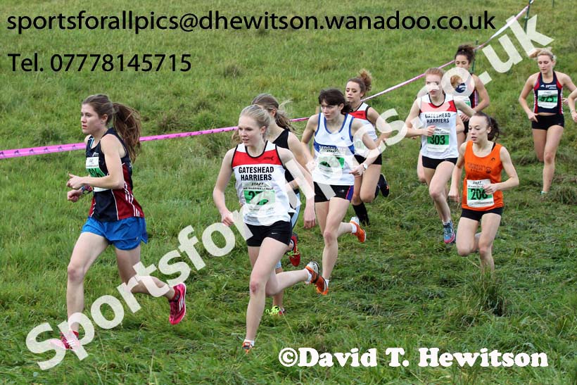 Womens under-17s and under-20s, North East Harrier League, Cramlington. Photo: David T. Hewitson/Sports for All Pics
